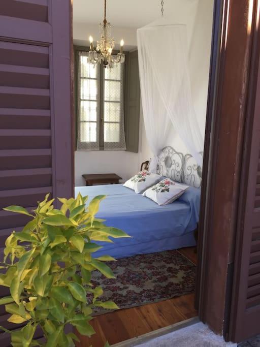 Il Drago Al Roseto Del Drago Villa San Bernardo  Exterior photo