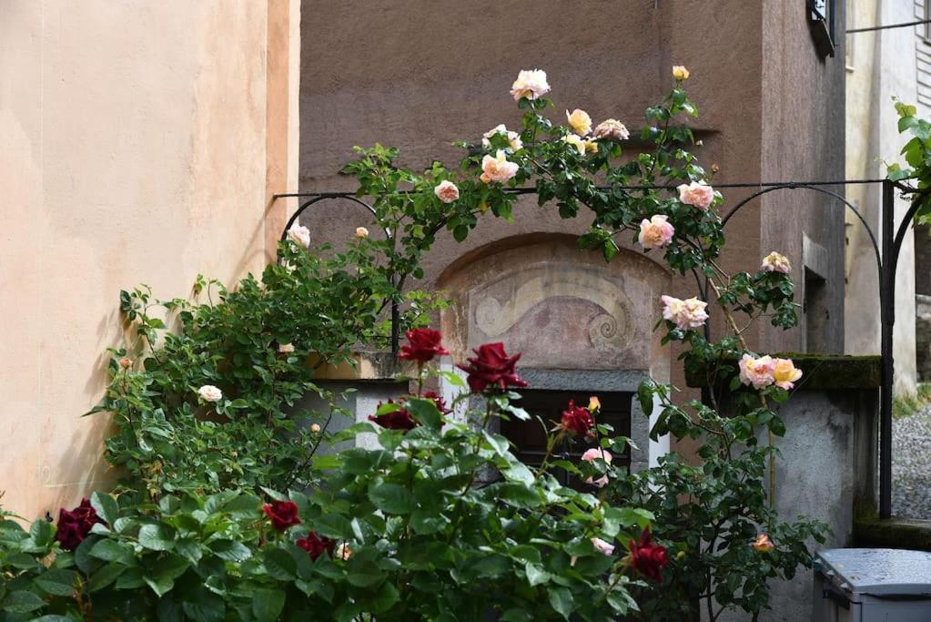 Il Drago Al Roseto Del Drago Villa San Bernardo  Exterior photo