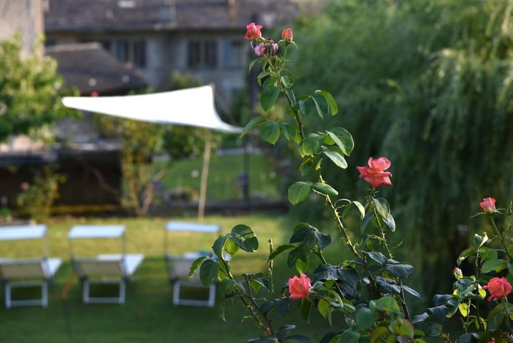 Il Drago Al Roseto Del Drago Villa San Bernardo  Exterior photo